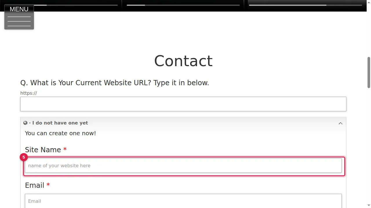 Step 5: Type a name for your new website.