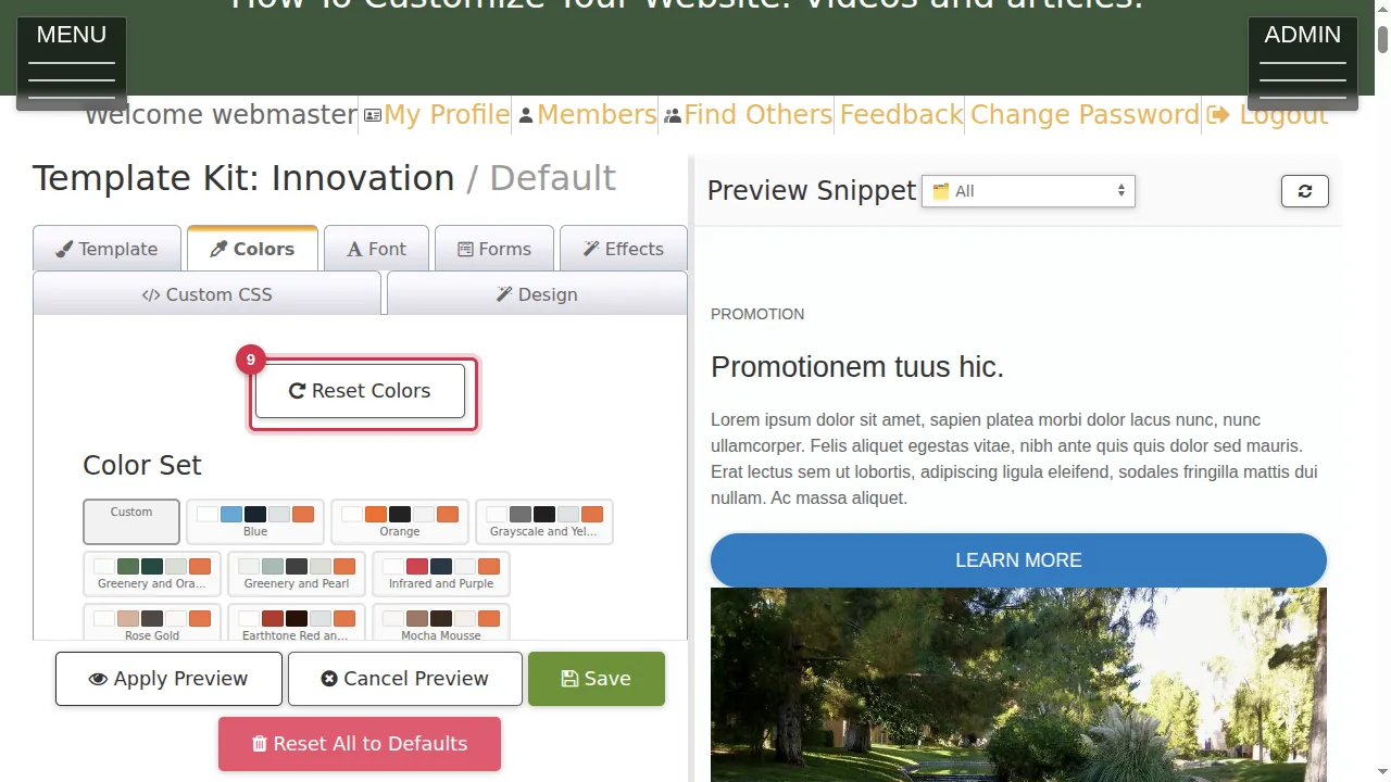 Step 9: Reset Colors puts back the template's own colours. Save makes your colours live (not clicked in this video).