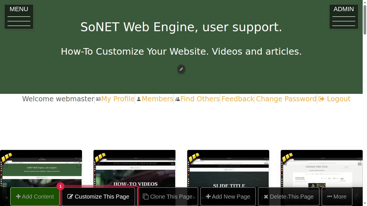 Step 1: Click Customize This Page, then Add content at the end of the page, and open the Widgets tab. Click a widget to add it, then click its gear ("This widget's settings"). The settings below are on the Essentials tab; every widget also has an Audience tab (who can see it), and most have Title, Section and Background tabs.