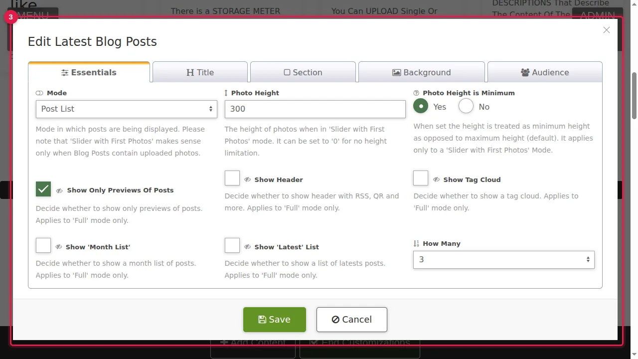 Step 3: Latest Blog Posts: Post List, Slider with First Photos, or Full (the whole posts, which makes a long page). Choose how many, and whether to show only previews, a tag cloud, a month list or a latest list. In this example: a list of 3.