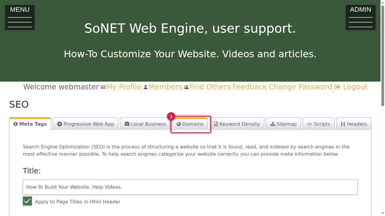 Step 1: Click the Domains tab.
