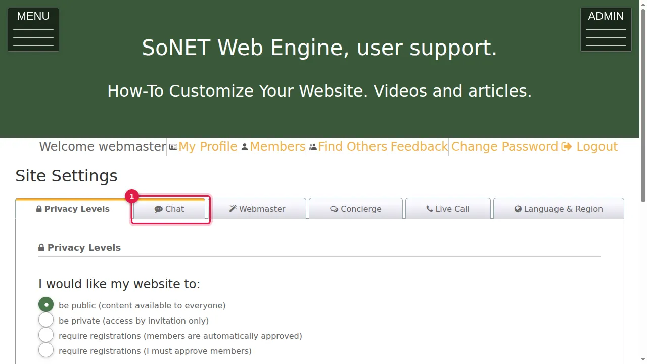 Step 1: Click the Chat tab.